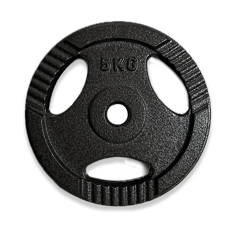 Protech Demir Kaplama Flanş Ağırlık - 5 KG