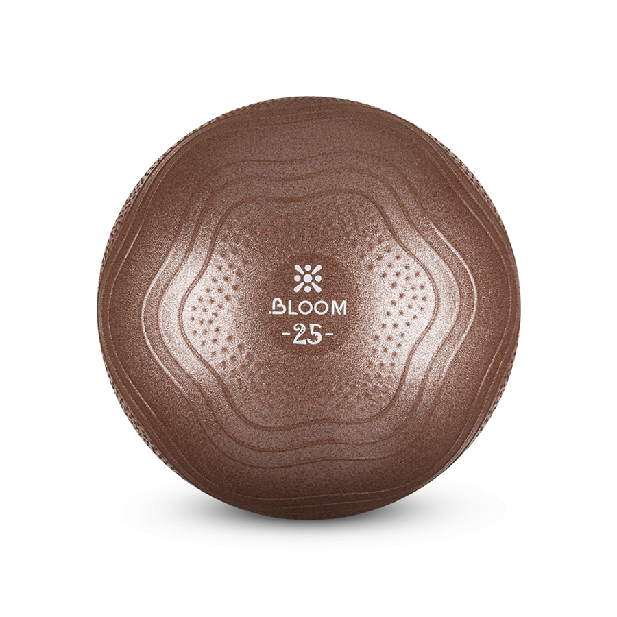 Protech 25 Cm Mini Pilates Ball - Brown
