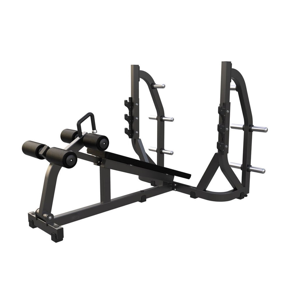 Protech Olympic Decline Bench - D973