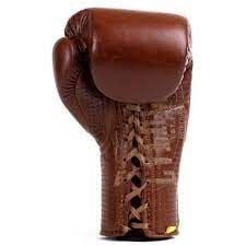 Everlast 1910 Brown Sparring Gloves 12 Oz