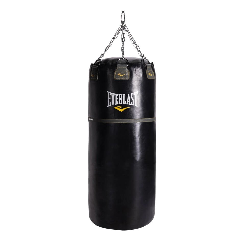 Everlast 120lb Punching Bag