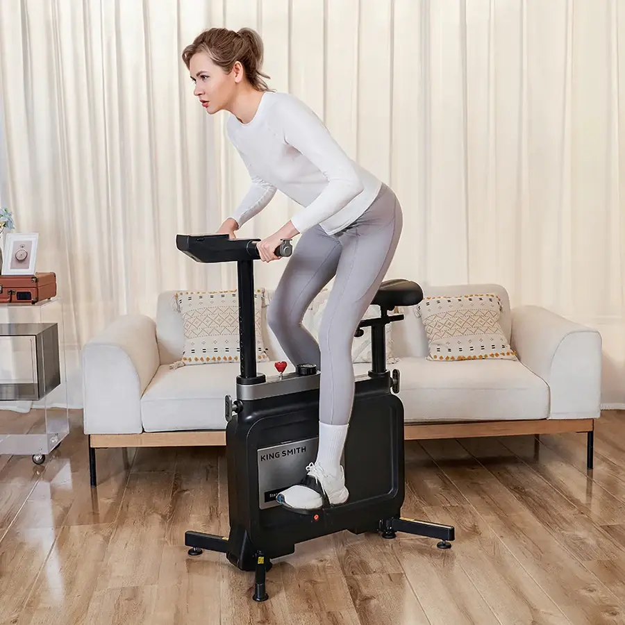 Kingsmith Foldable Workstation Bike - W1B