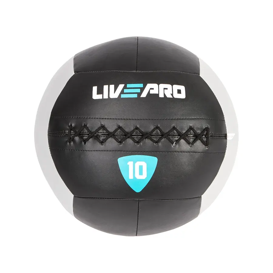 Protech Wall Ball 10 KG