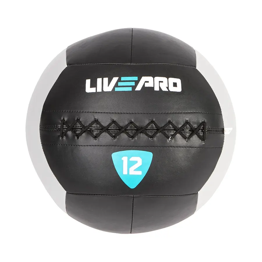 Protech Wall Ball 12 KG