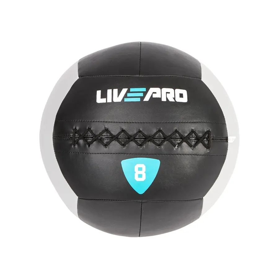 Protech Wall Ball 8 KG