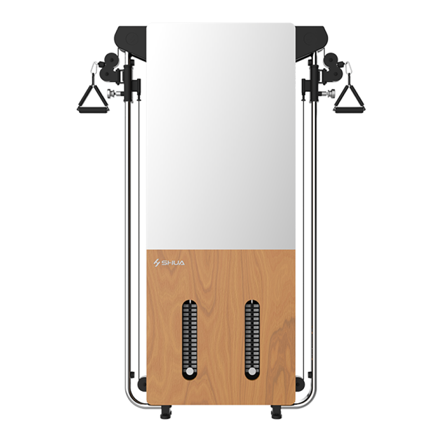 Protech Wall-Gym Max