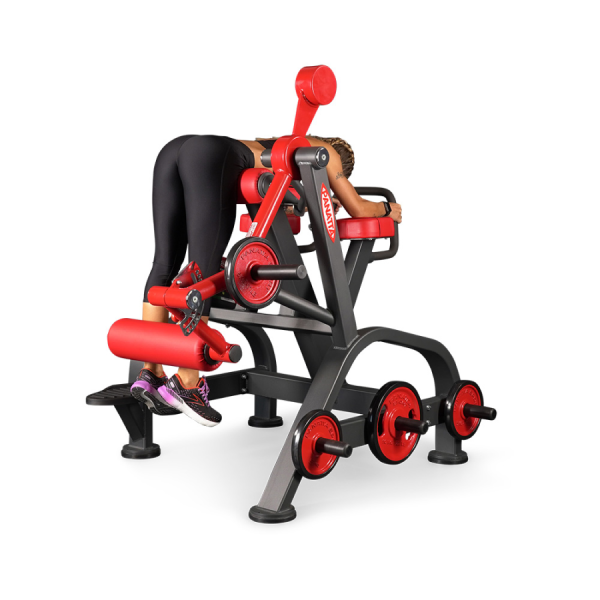 Panatta FreeWeight Special Reverse Hyperextension 1FW096