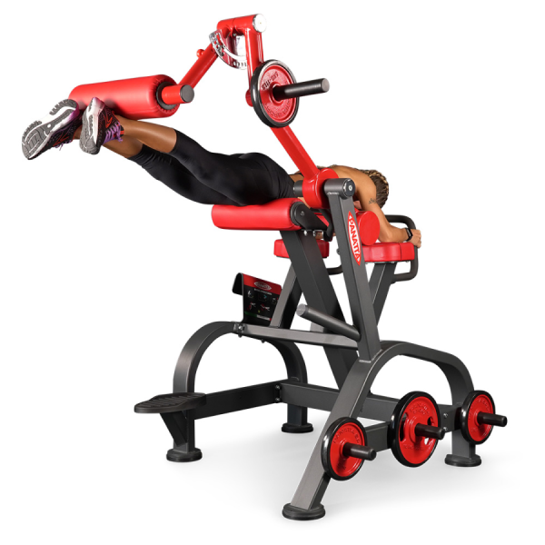 Panatta FreeWeight Special Reverse Hyperextension 1FW096