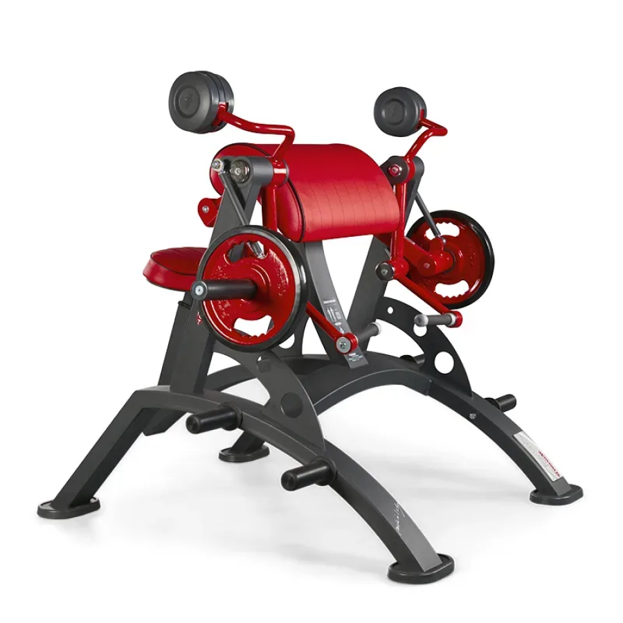 Panatta Alternate Curling Machine  1HP551