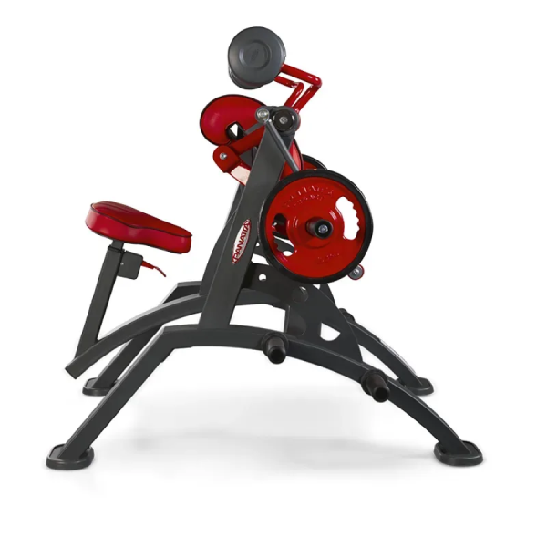 Panatta Alternate Curling Machine  1HP551