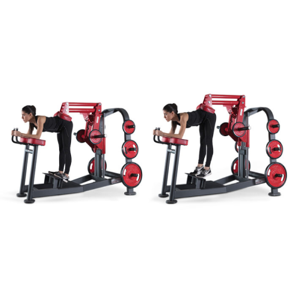 Panatta Donkey Calf Raise  1HP589