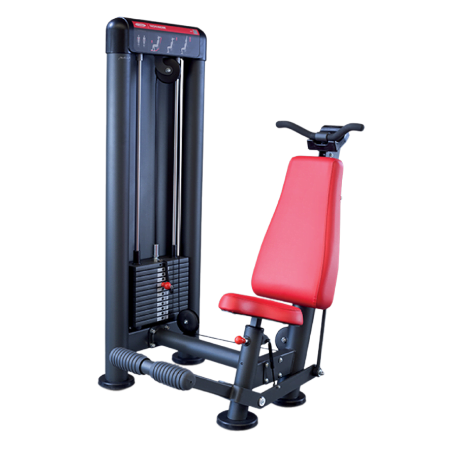 Panatta Triceps Machine