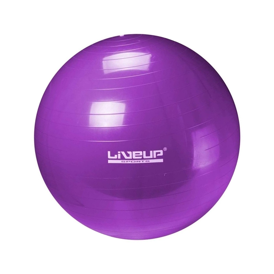 Protech Pilates Ball 65cm Purple