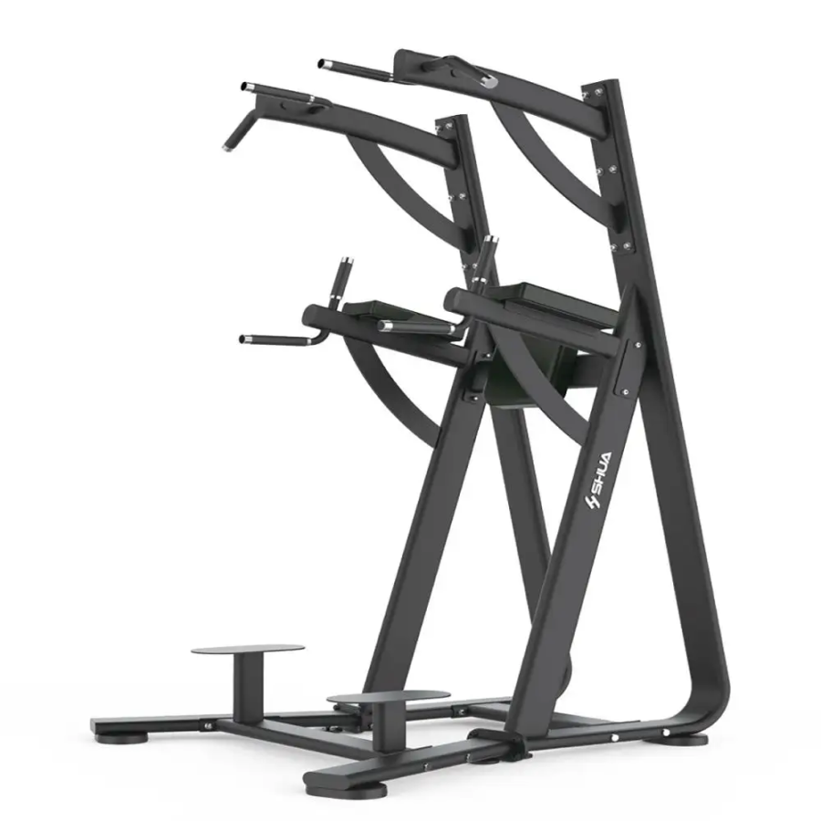 SHUA Chin Dip Leg Raise Station