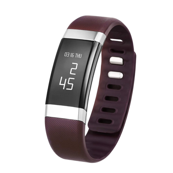 InBodyBAND2 - Claret Red