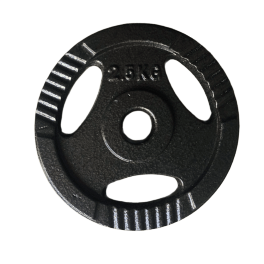 Protech Iron Handle Weight - 2.5 KG