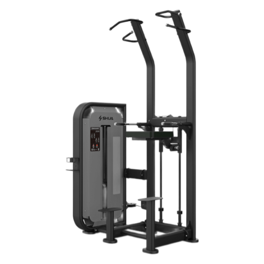 Shua Assist Dip/Chin