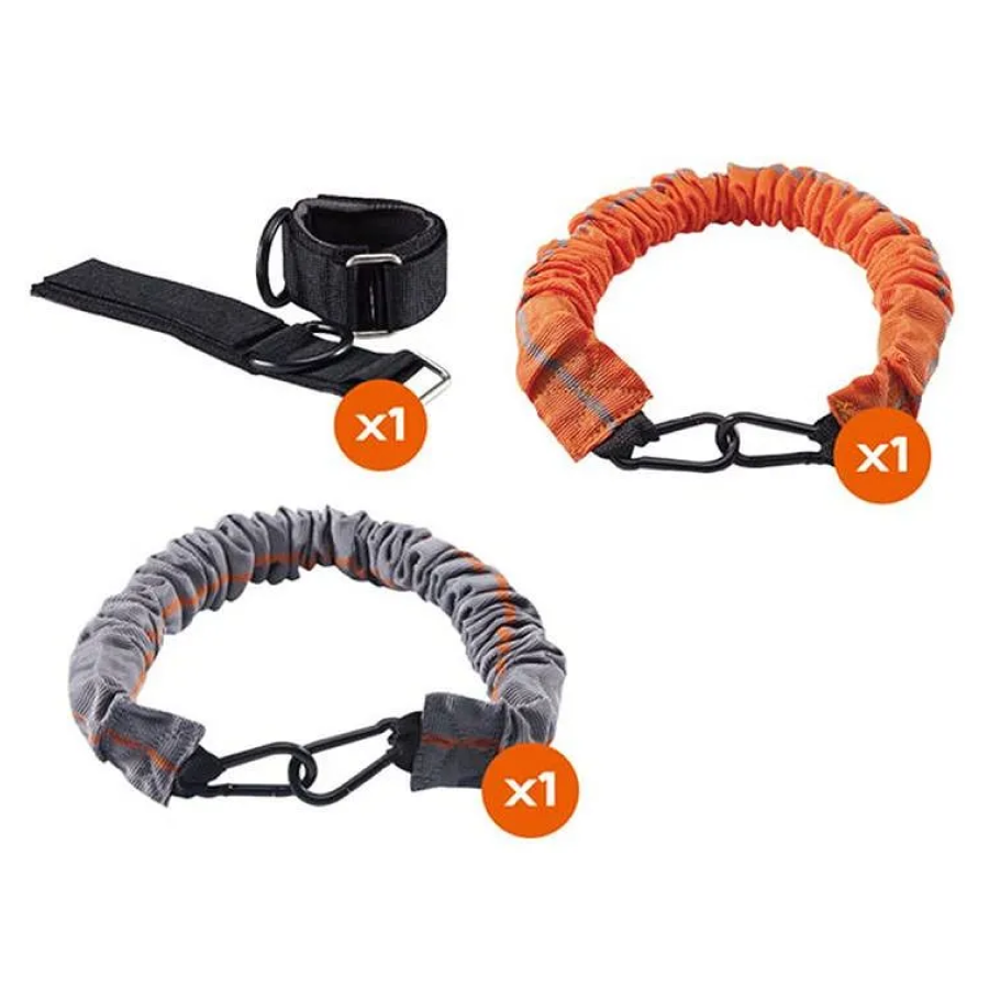 Protech Training Set  |  3670