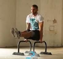 Protech ﻿Parallettes