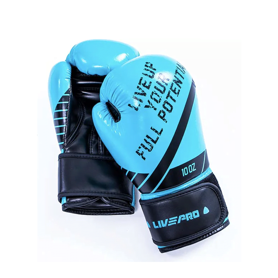 Protech Boxing Gloves - 10 OZ - Blue/Black