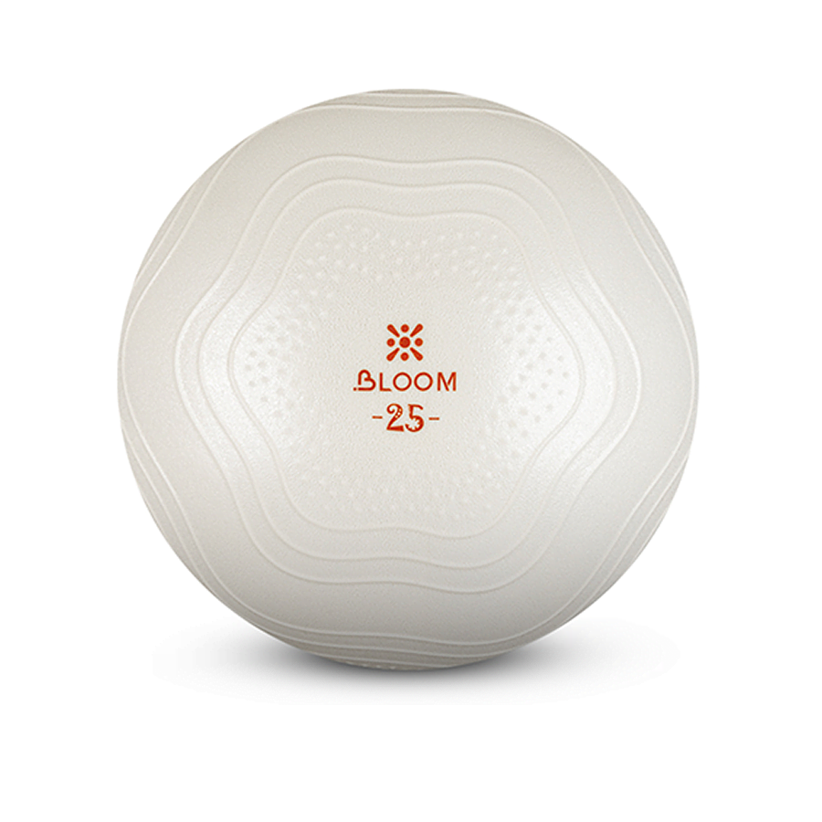 Protech 25 Cm Mini Pilates Topu - Beyaz