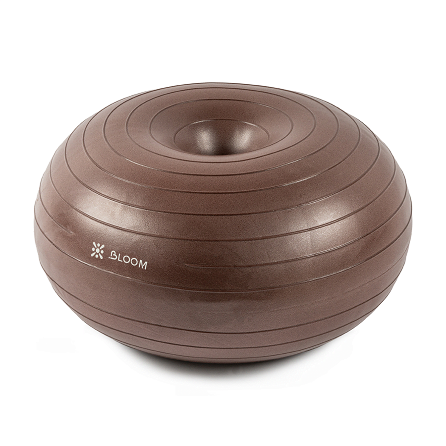 Protech Kahverengi Denge Topu  + Pompa | 7053