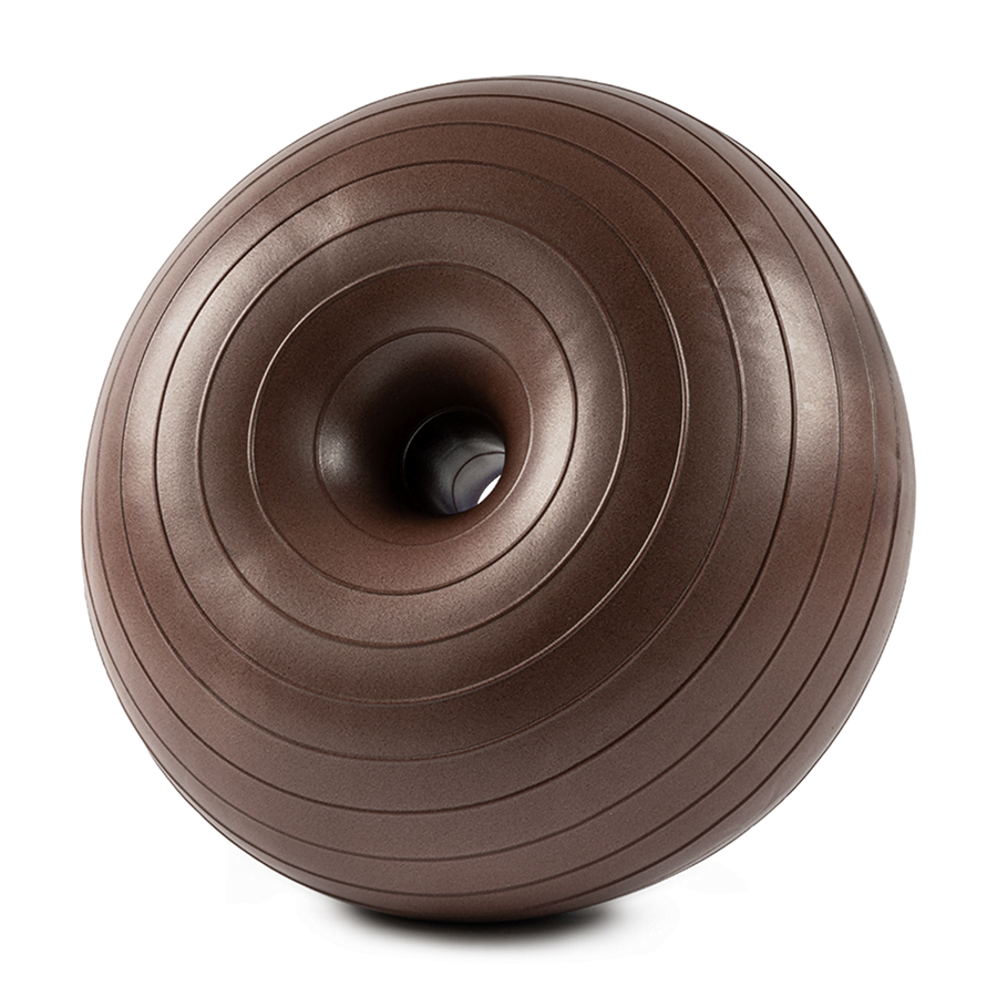 Protech Kahverengi Denge Topu  + Pompa | 7053