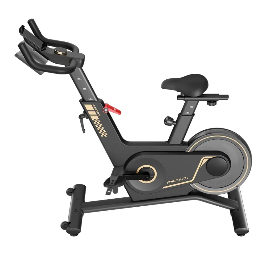 Kingsmith Spinning Bike - PB08S